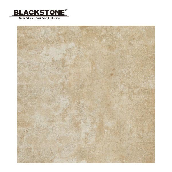 600X600mm Hot Design Porcelain Inkjet Rustic Floor Tiles (661401NA3)