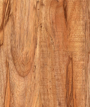 Laminate Flooring (KN1173)