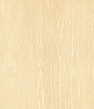 Laminate Flooring--Kn1270