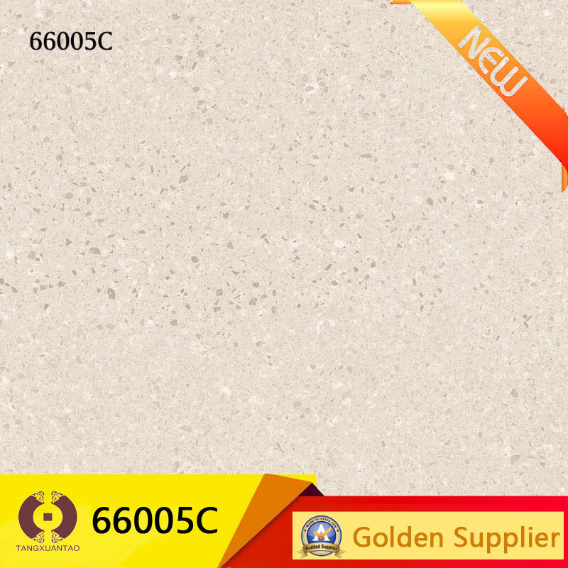 24X24 Polished Glazed Granite Flooring Tile Porcelain (66005C)