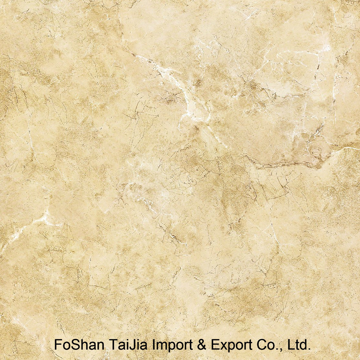 Full Polished Glazed 600X600mm Porcelain Floor Tile (TJ64003)