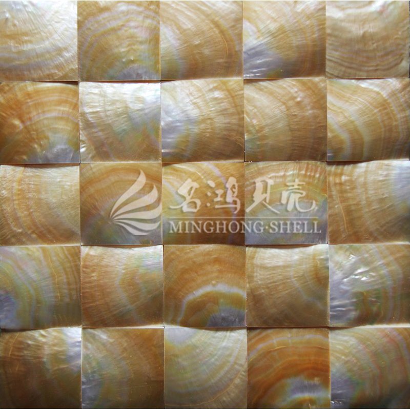 Yellow Lip Mop Shell 60*60mm Square Mosaic Tile