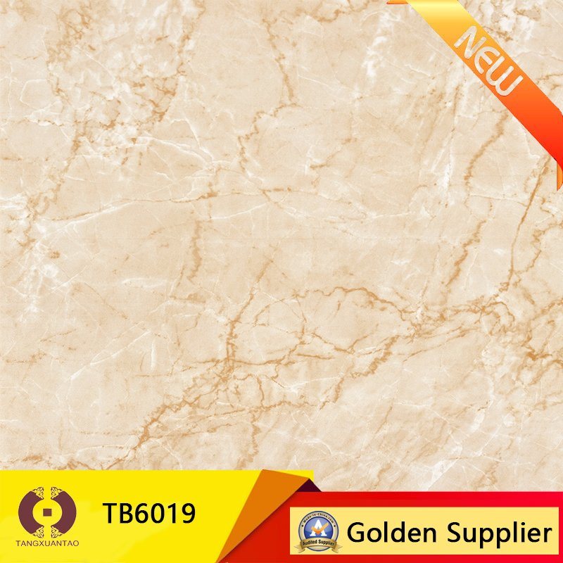 Factory Price Building Material Flooring Tile Porcelain Tile (TB6019)