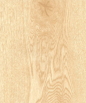 Laminate Flooring (KN1284)