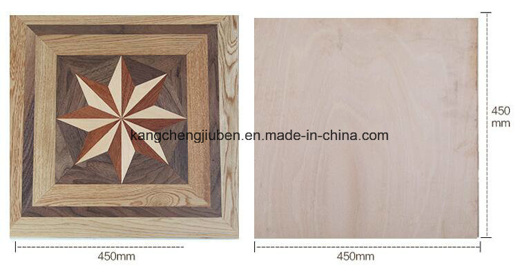 Commerlial Wood Parquet/Laminate Flooring (SY-13)