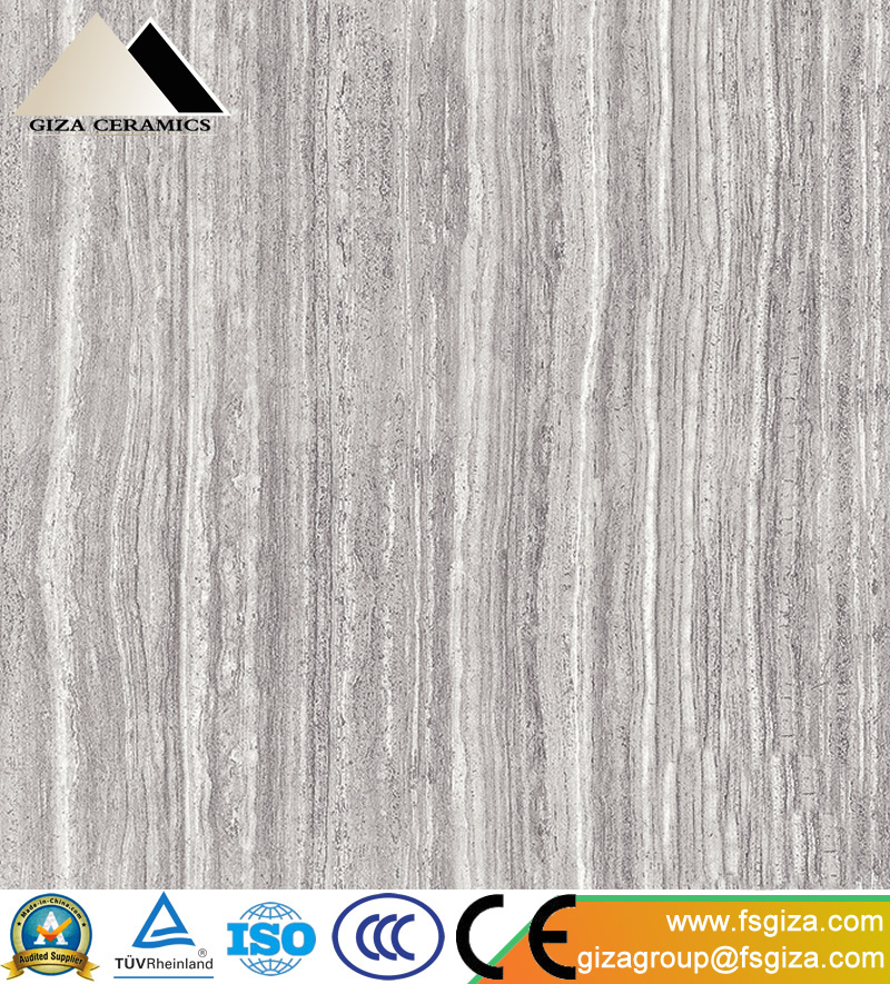 Ceramic Glazed Porcelain Vitrified Rustic Full Body Matt Floor and Wall Tiles (Y60074)