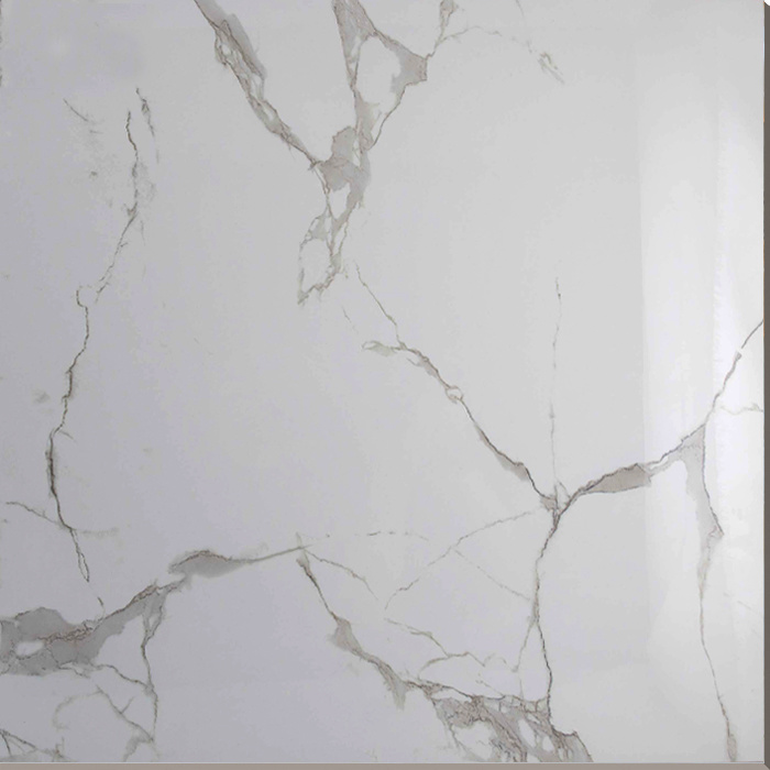 Best Home Porcelain Ceramic 60X60 and Porcelain Tile