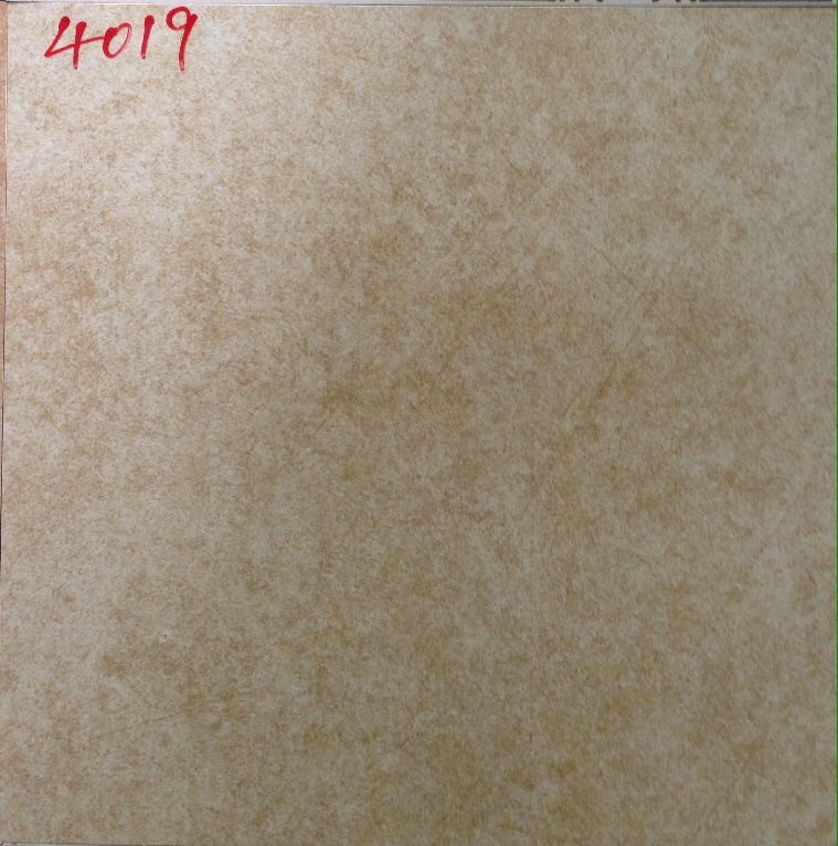 Building Material Rustic Ceramic Floor Tile with Dull Surface (4019)