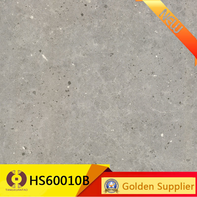 Stone Look Tiles Rustic Wall Floor Porcelain Tile (HS60010B)