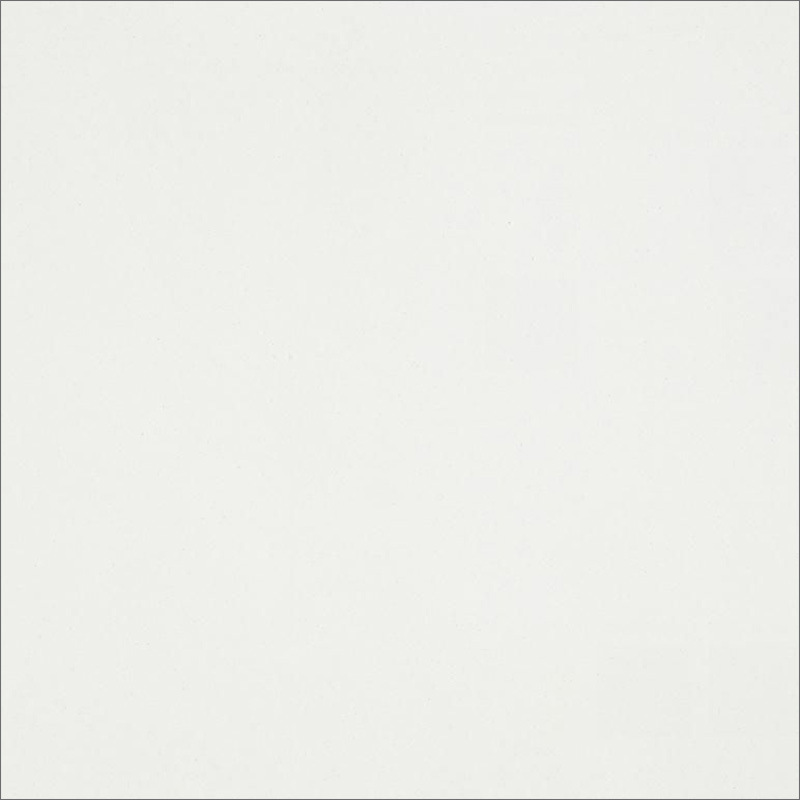 Super Snow White Full Body Porcelain Polished Floor Tile (SW601BP)