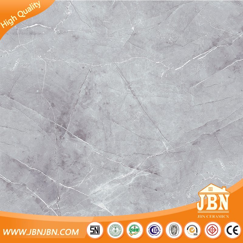 Hot Sale Modern Glazed Porcelain Rustic Floor Tile (JB6059D)