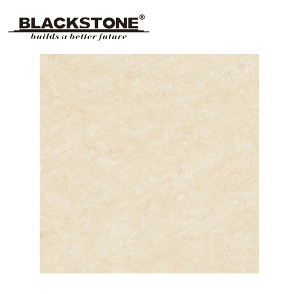 Hot Sale Glazed Rustic Flooring Tile 600X600 (BLY6081T)