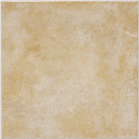 Small Size Classic Rustic Floor Tile (AJ41006)