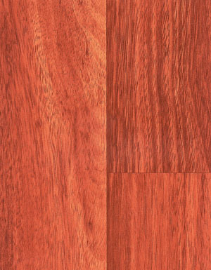 Laminate Flooring--Kn1338