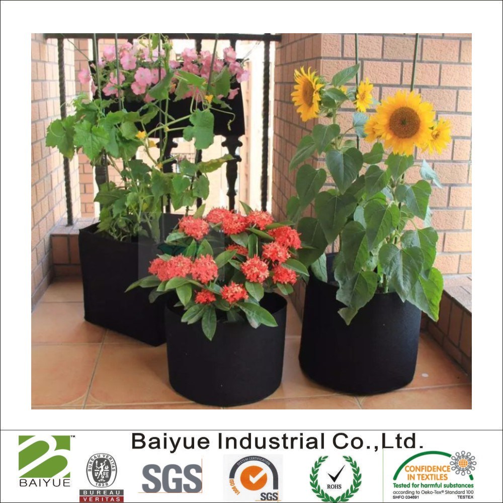 OEM Felt Manufacturer High Quality Greenhouse Planting Felt Grow Bag