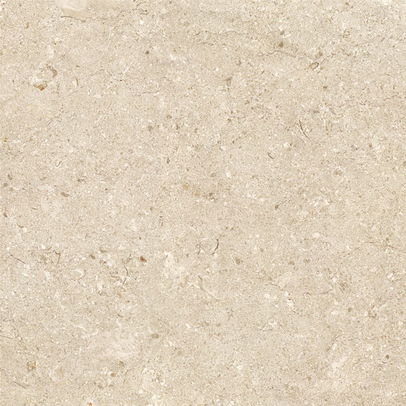 High Quality Building Material Foshan Ceramic Rustic Porcelain Tile (Burgos)