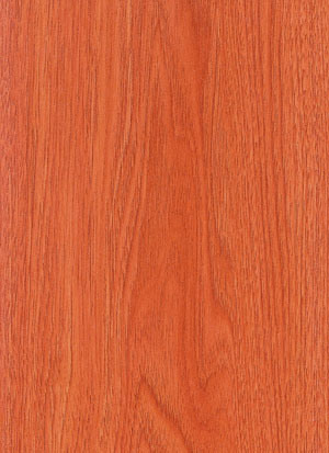 Laminate Flooring (KN1134)