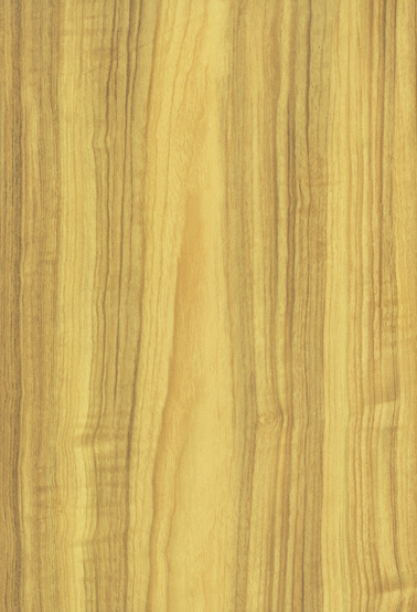 8.3mm HDF Laminate Flooring 8755