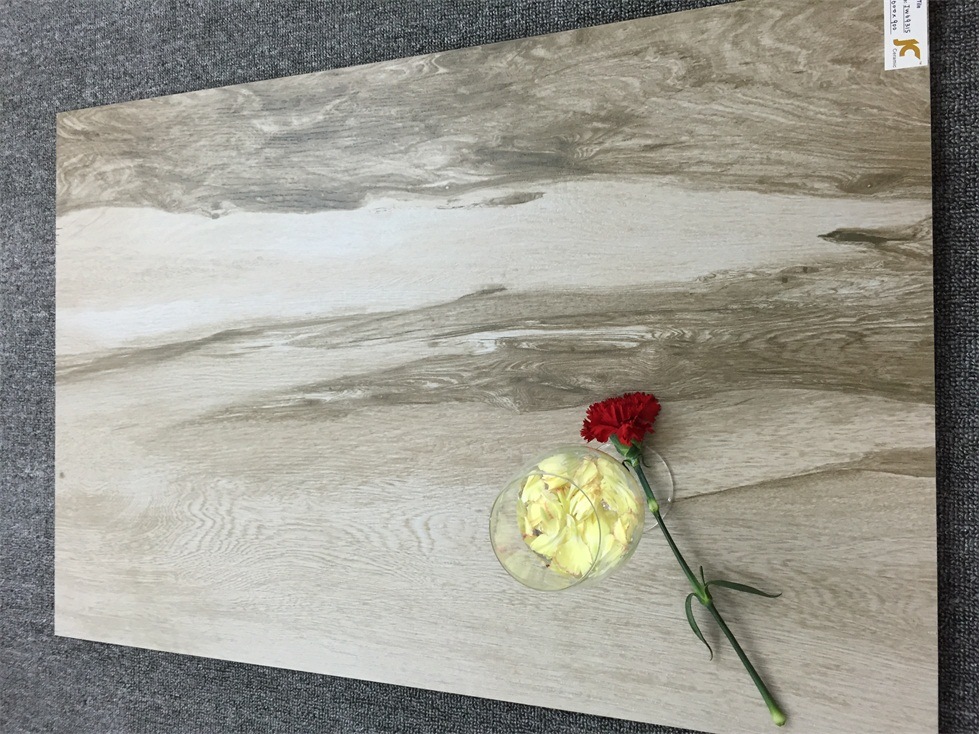 2015 Best Sale Rustic Glazed Floor Tile (600X600mm)