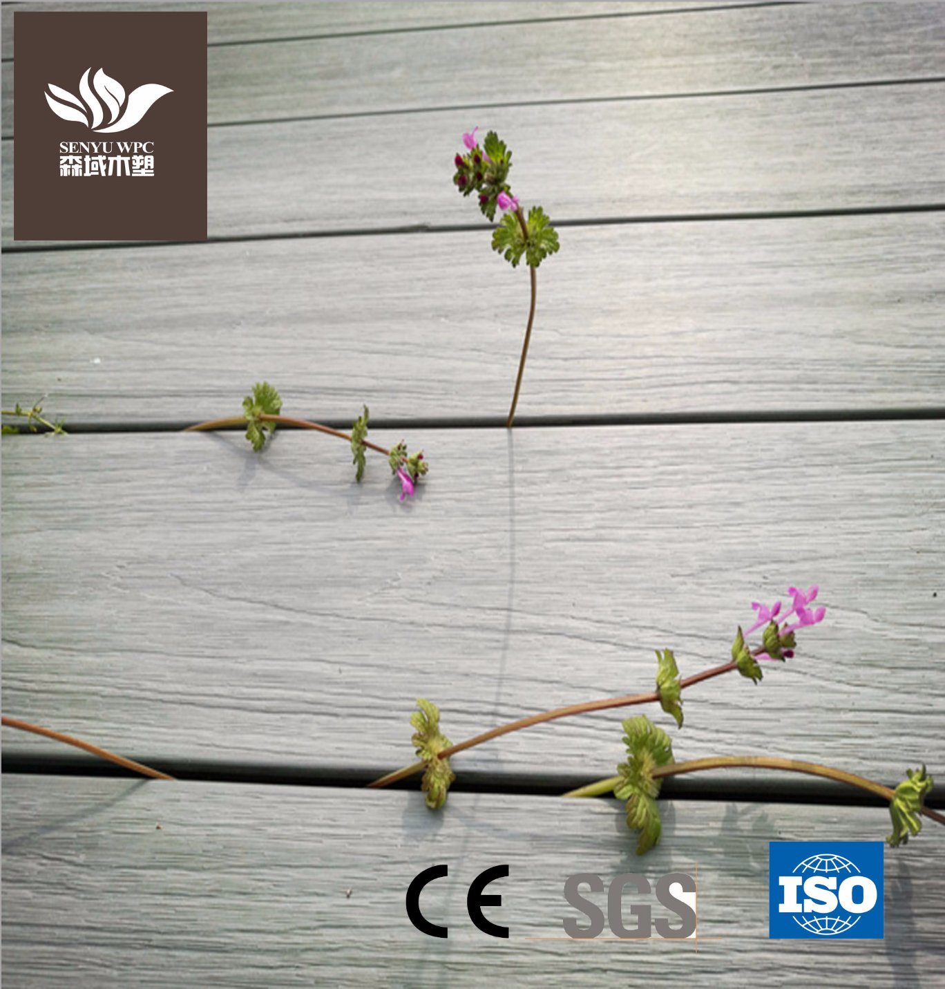 Classy Wood Plastic Composite Co-Extrusion Flooring