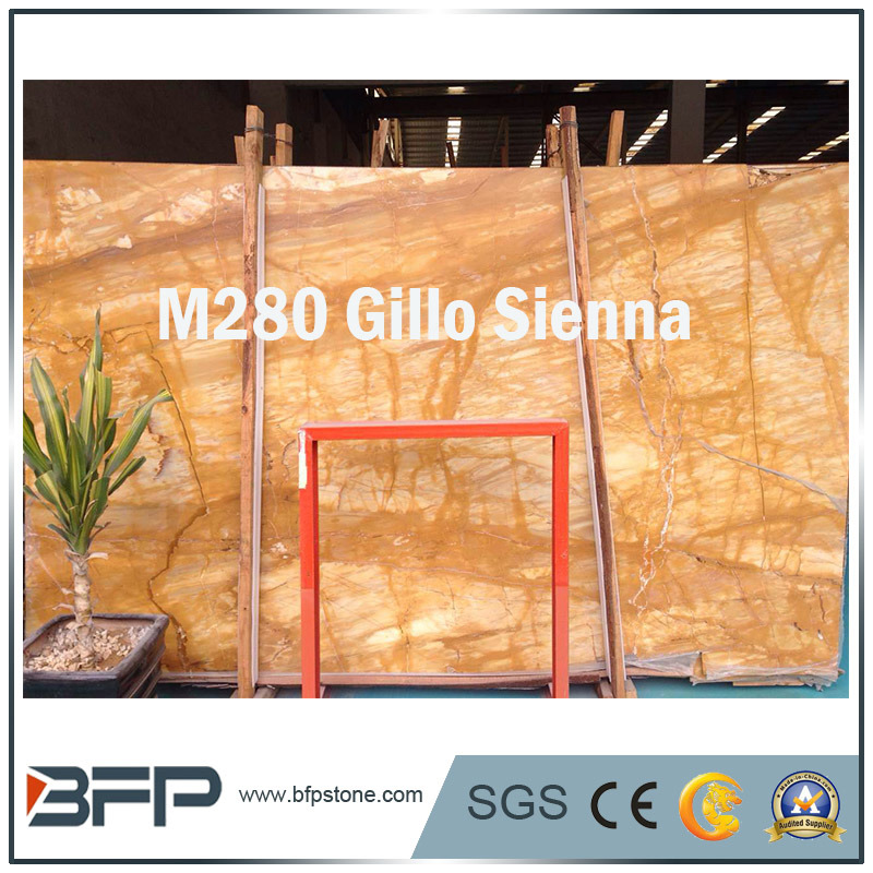 Gillo Golden Color Natural Marble Slabs/Tiles