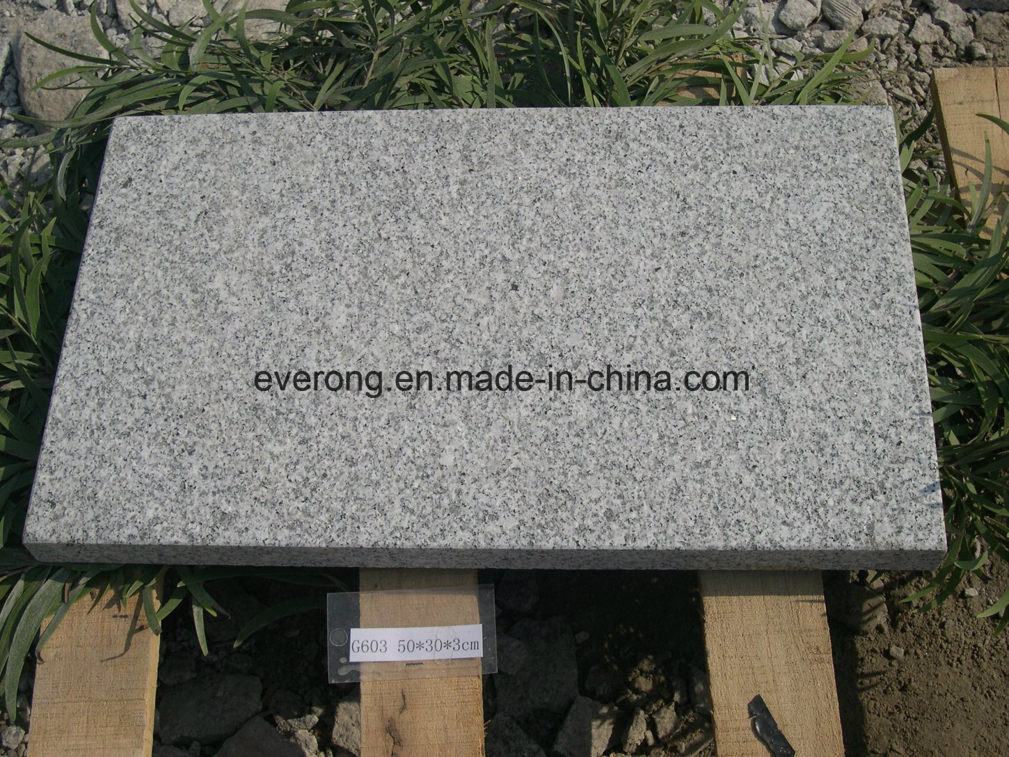 G603 / Bella White / Padang Light Grey Granite for Flooring Tiles