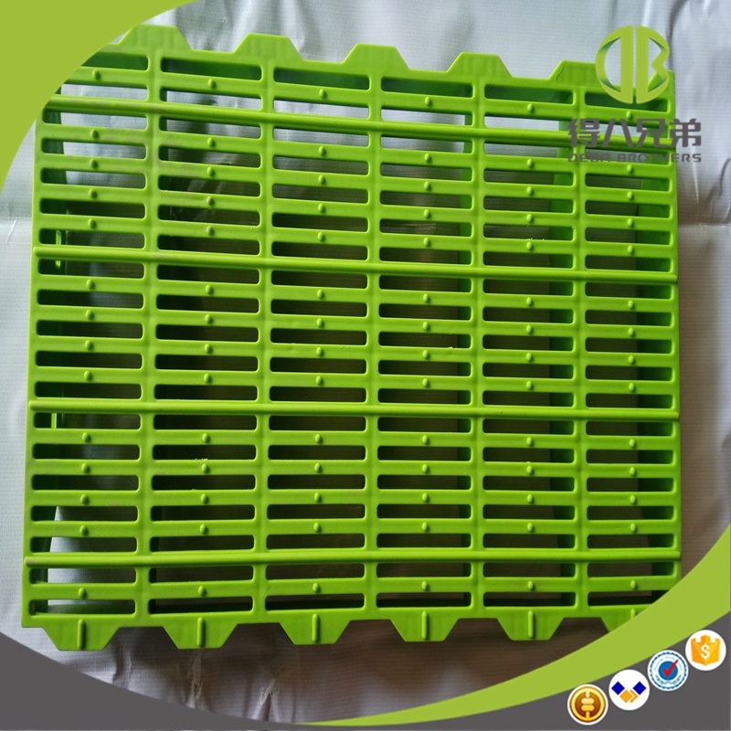 Pig Plastic Floor Hot for Sale with High Quality