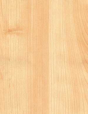 Laminate Flooring (KN1347)