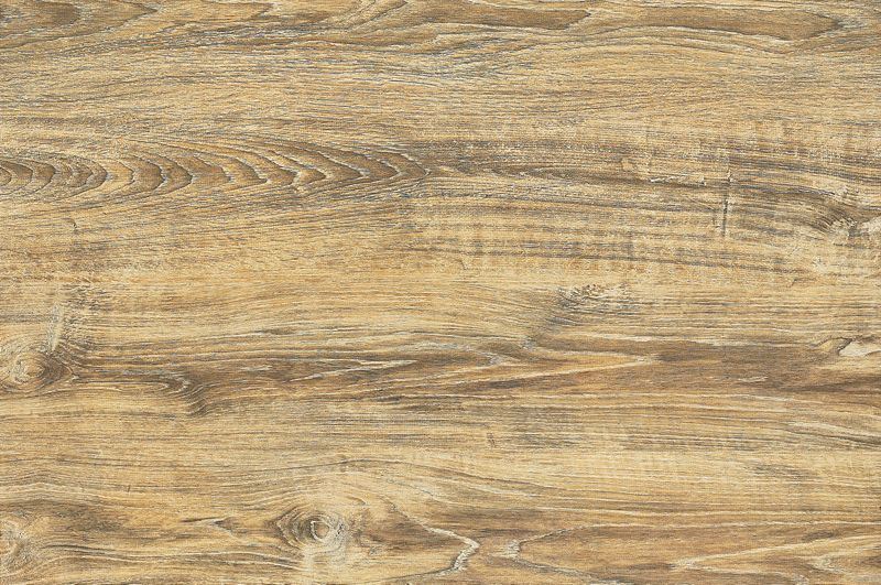 Rustic Porcelain Wooden Floor Tile (600X900mm)