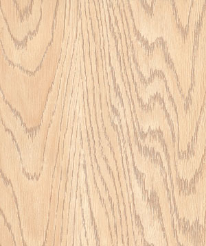 Laminate Flooring (KN1212)