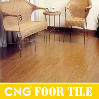 Professional Indoor PVC Vinyl Floor