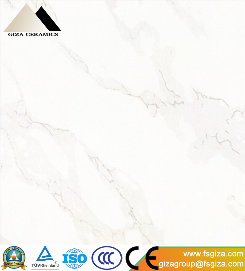 Hot Snowwhite Polished Porcelain Tiles 600*600mm for Floor and Wall (SP6288T)