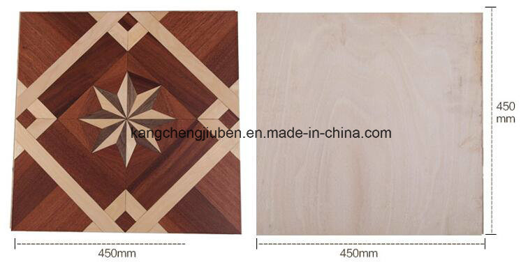 Environmental Protection Household Commerlial Wood Parquet/Laminate Flooring