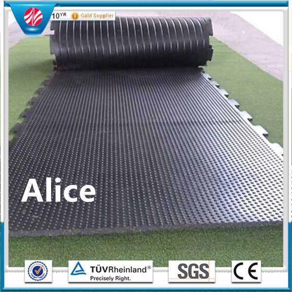 Horse Rubber Tiles/Stable Rubber Tiles/Anti-Slip Stable Rubber Tiles