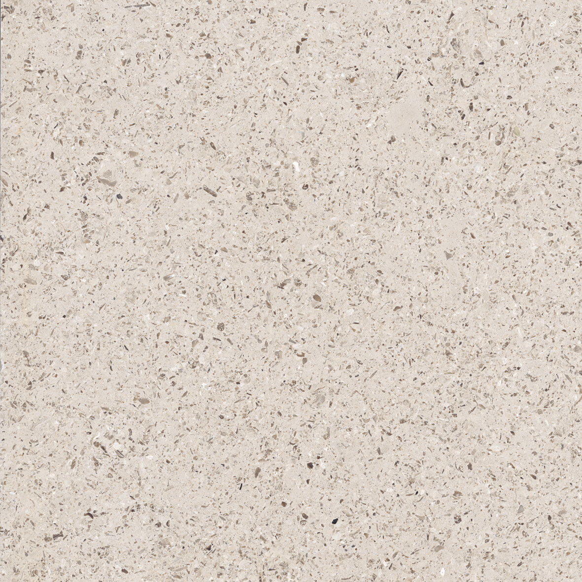 High Quality Building Material Foshan Ceramic Rustic Porcelain Tile (New Delhi)