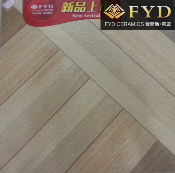 Fyd Rustic Porcelain Ceramic Floor Tile (F5D18)