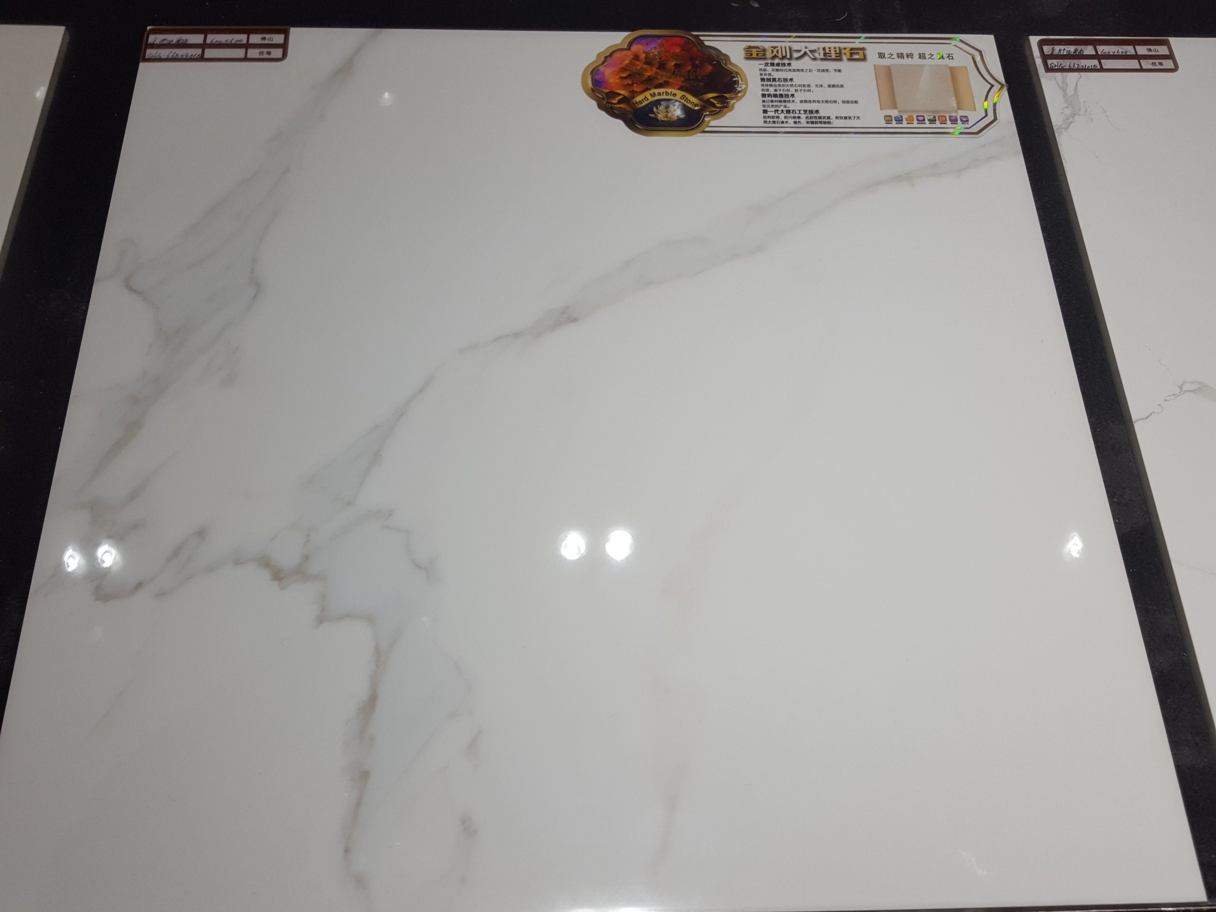 66e0401q Glazed Porcelain Tile/Floor Tile/Wall Tile/Marble Tile/600*600 with 1% Water Absorption