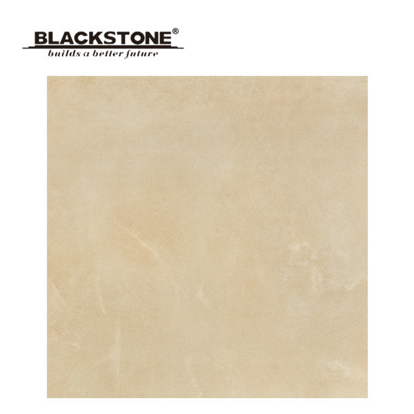 600X600mm High Quality Rustic Tile Matt Surface (BCT02)