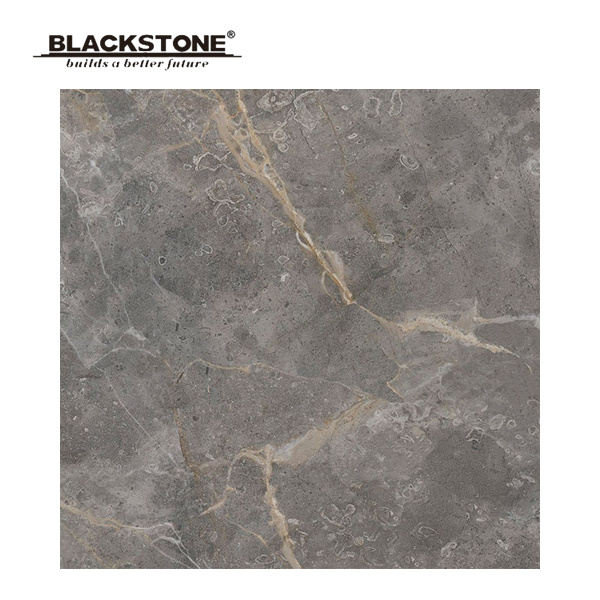 600X600mm Porcelain Rustic Floor Tiles with Inkjet Design (664301NA1)