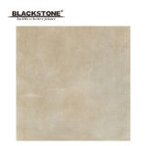 600X600mm High Quality Rustic Tile with Matt Surface (BCT01)