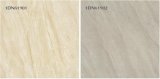 Hot Matt Rustic Porcelain Tile 600*600mm for Floor and Wall (1DN61901)