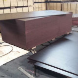 Poplar Core Brown Film Face Waterproof Plywood for Construction (6X1250X2500mm)
