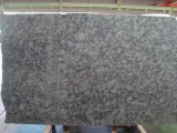 Oliver Green Granite Slab for Kitchen/Bathroom/Wall/Floor