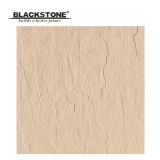 Hot Sale Rustic Tile Matt Floor Tile 600X600 (6T22)