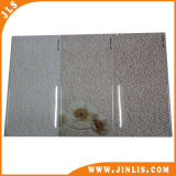 250*500mm Special Size Wall Tile Inkjet Water Proof Tile