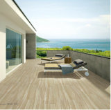 Popular Matt Rustic Porcelain Tile 600*600mm for Floor and Wall (DN61103)