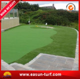Good Quality Mini Golf Putting Green Artificial Grass