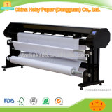 Professional CAD Plotter Paper Roll for Promotion