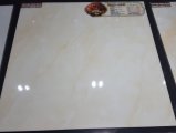 66A1601q Glazed Porcelain Tile/Floor Tile/Wall Tile/Marble Tile/600*600 with 1% Water Absorption