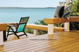 Popular WPC Garden Decking Flooring (150*23)